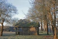 Cjp_2010_01_31_102540 (1).jpg